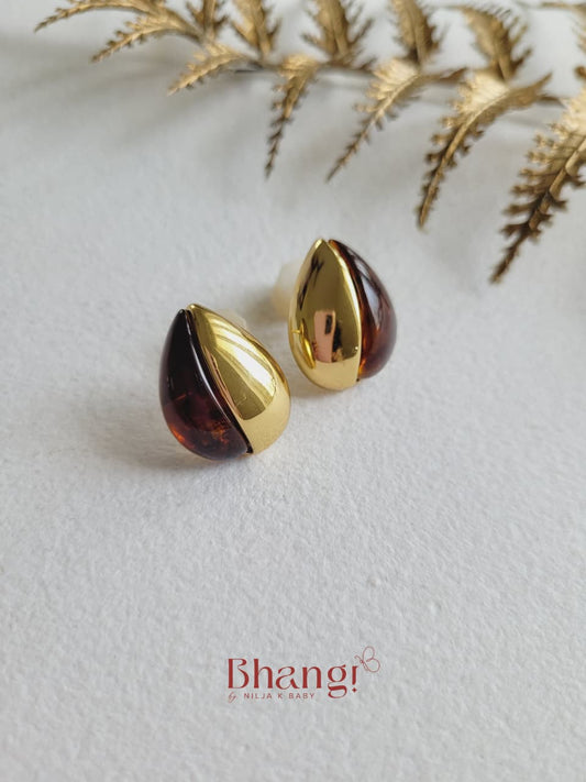 Brown & Gold Earrings