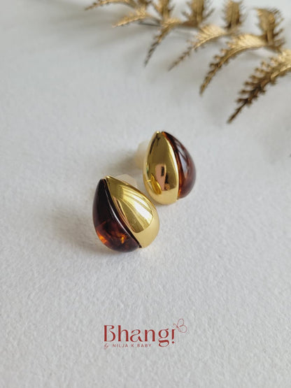 Brown & Gold Earrings